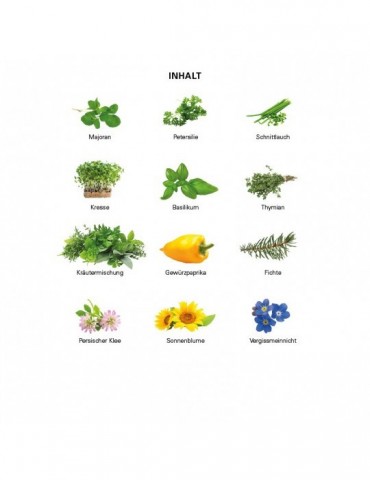 Adventskalender ECO L mit...