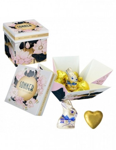 Meeting Star mit Choco Company Schokoladenherzen + 1 Gubor Osterhase