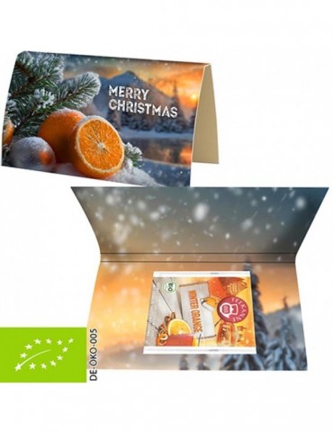 Bio Beuteltee Winter...