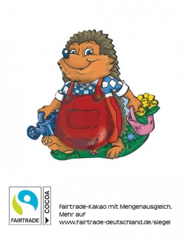 Igel Eddy
