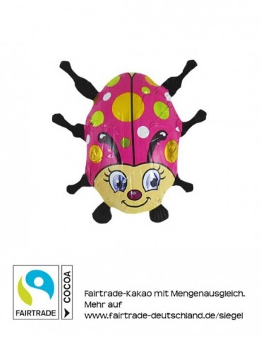 Großer Käfer