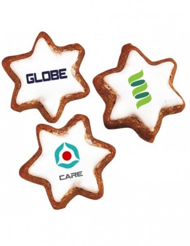 Nürnberger Zimtstern farbig...